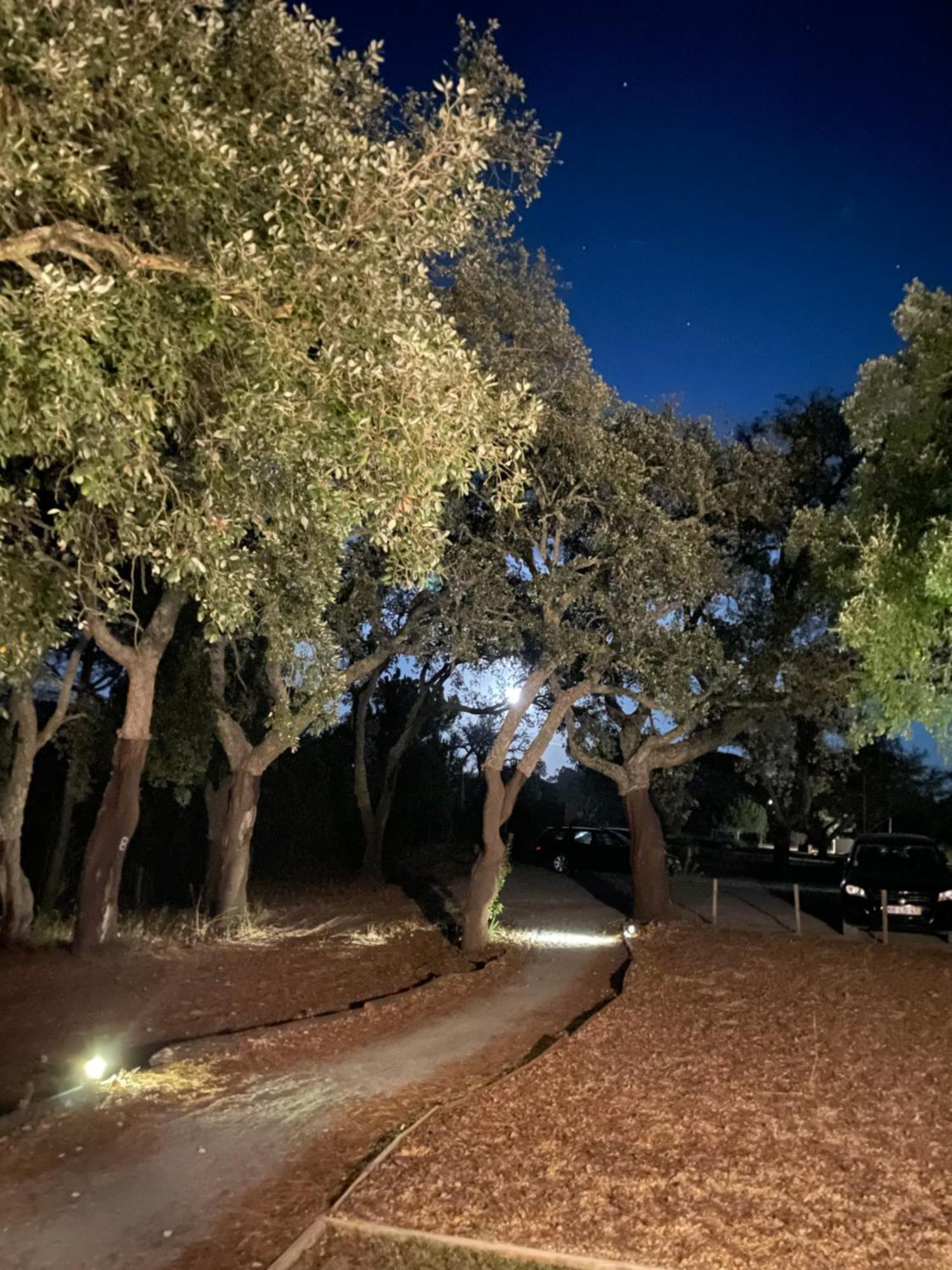 A Espera - Turismo Rural,Melides Extérieur photo